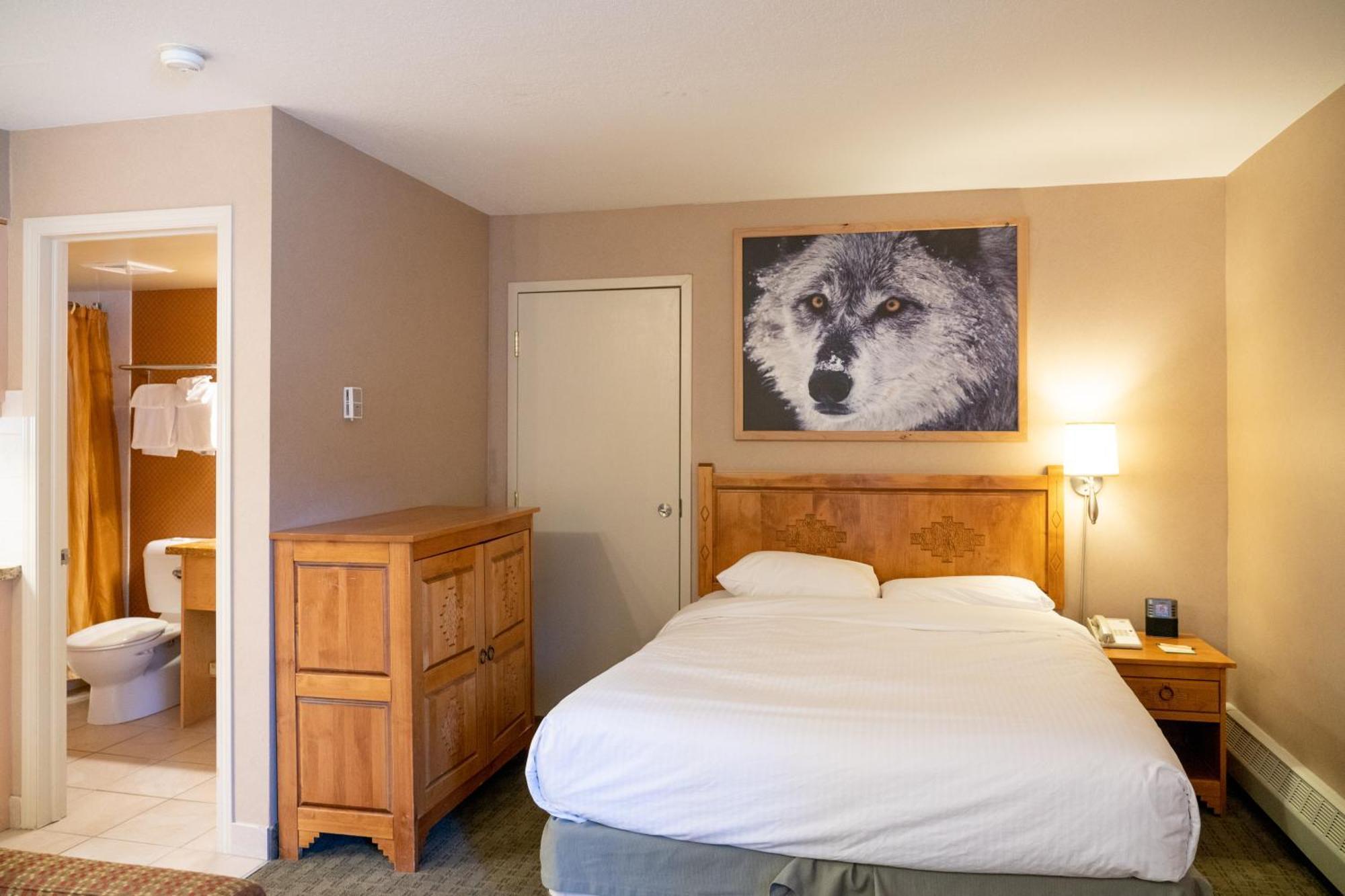 Studio met Queensize Bed